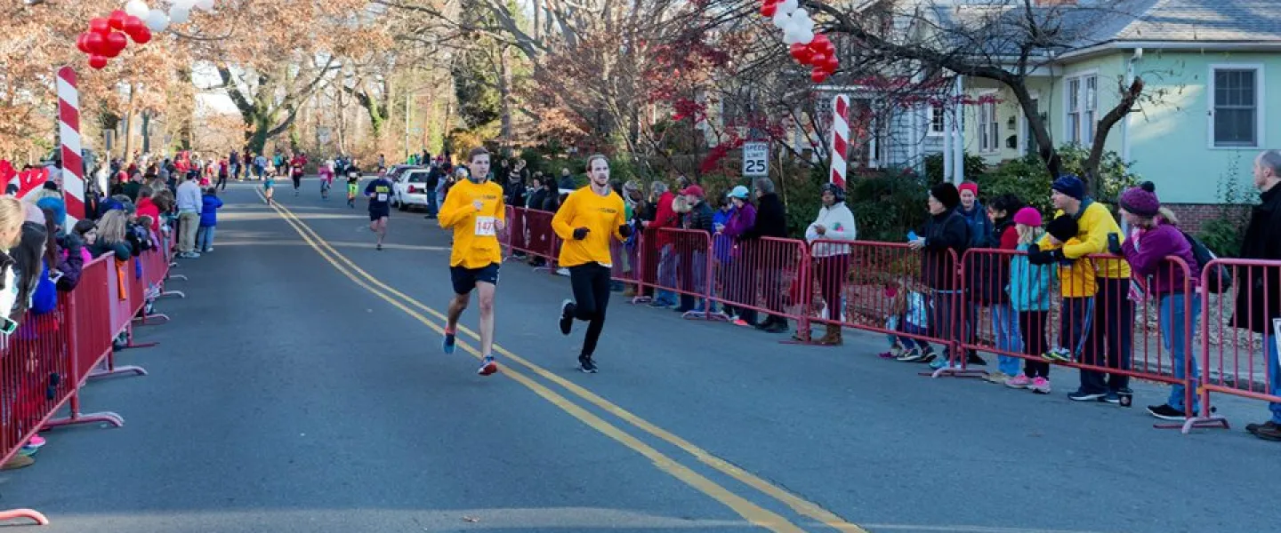 mistletoe-gallery-slide-5