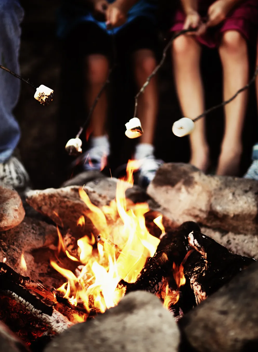 People roasting marshmallows around a fire