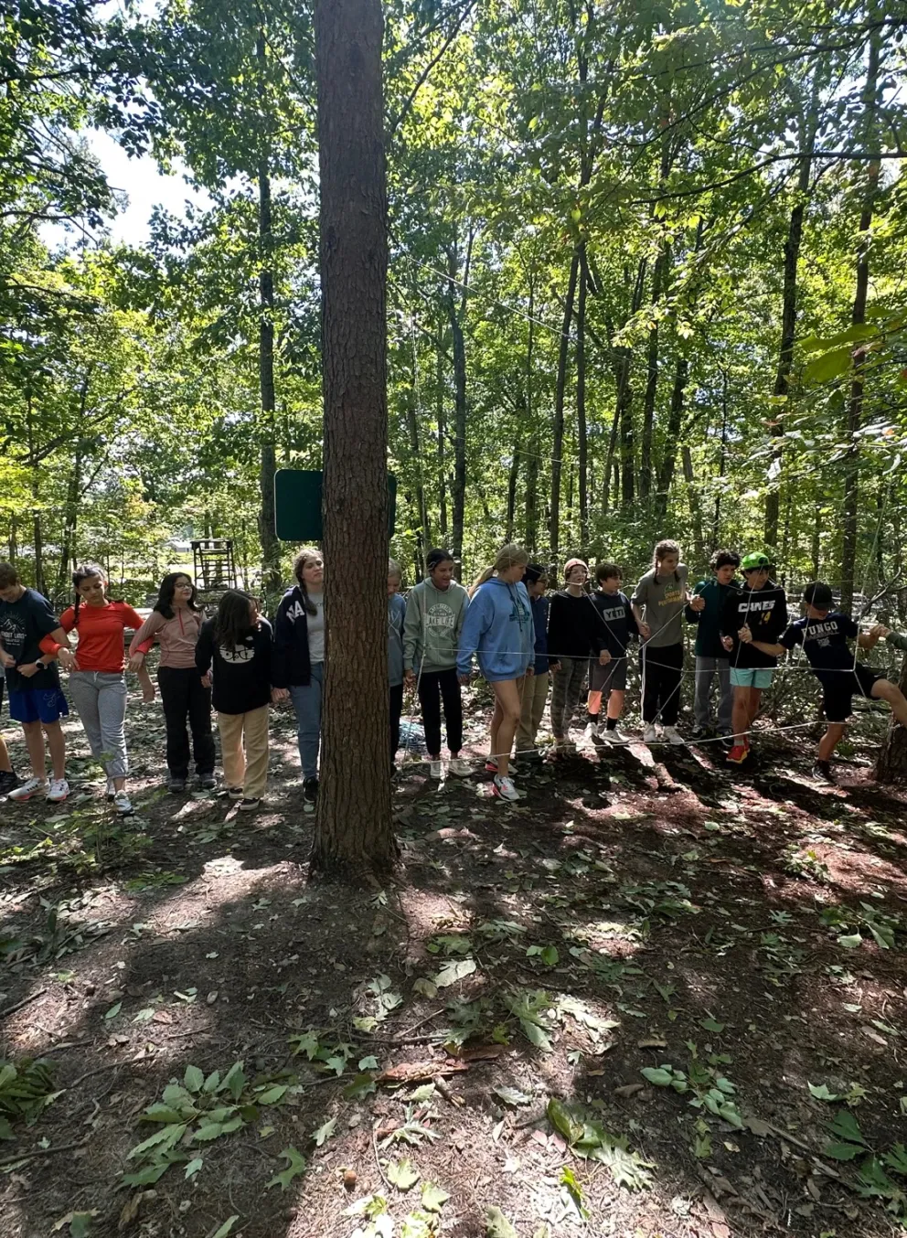 Group working the spider web