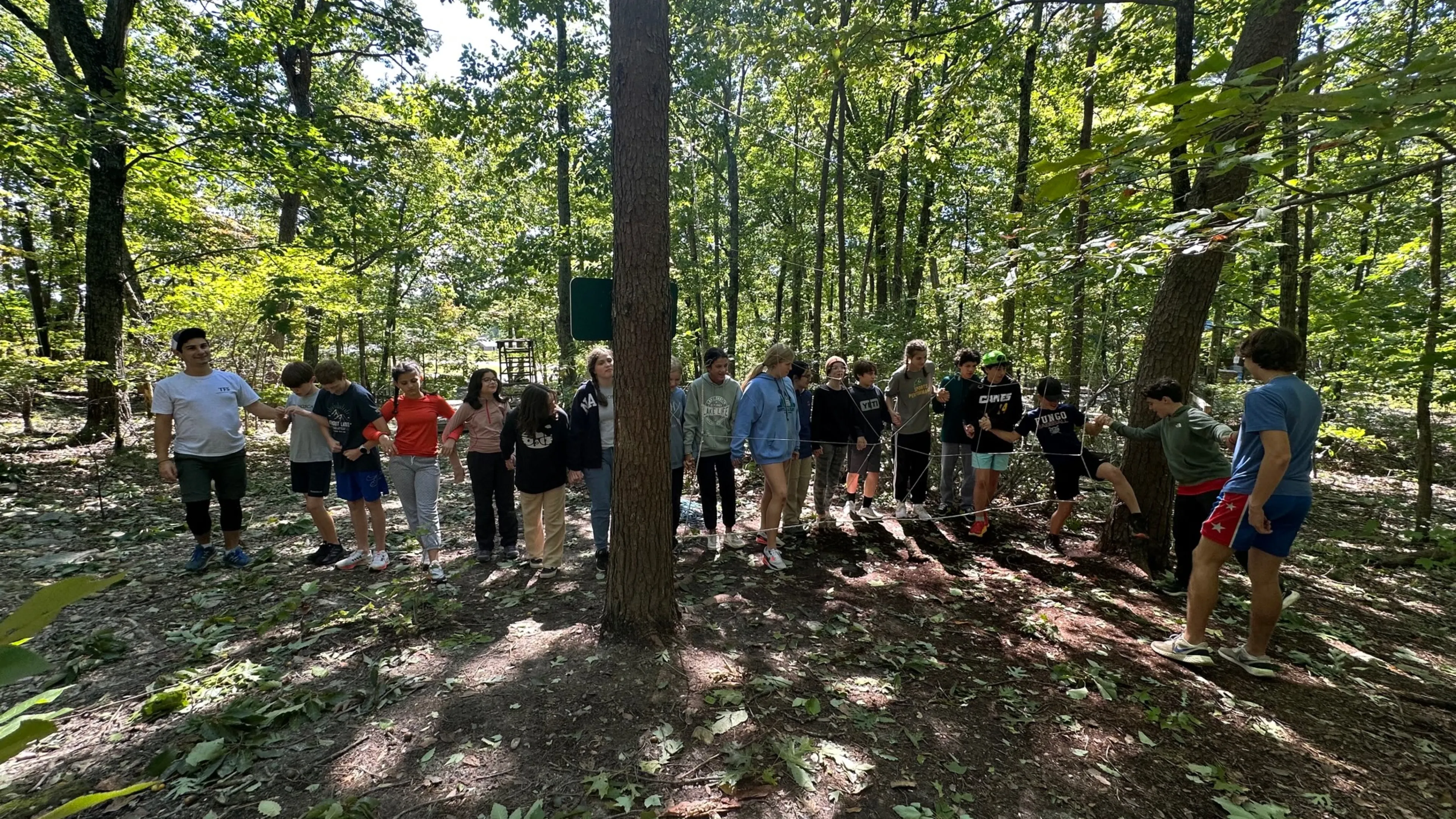 Group working the spider web