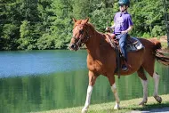 Girl riding a horse at Camp Hanes