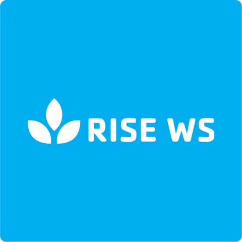 RISE logo