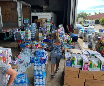 Food and water collection