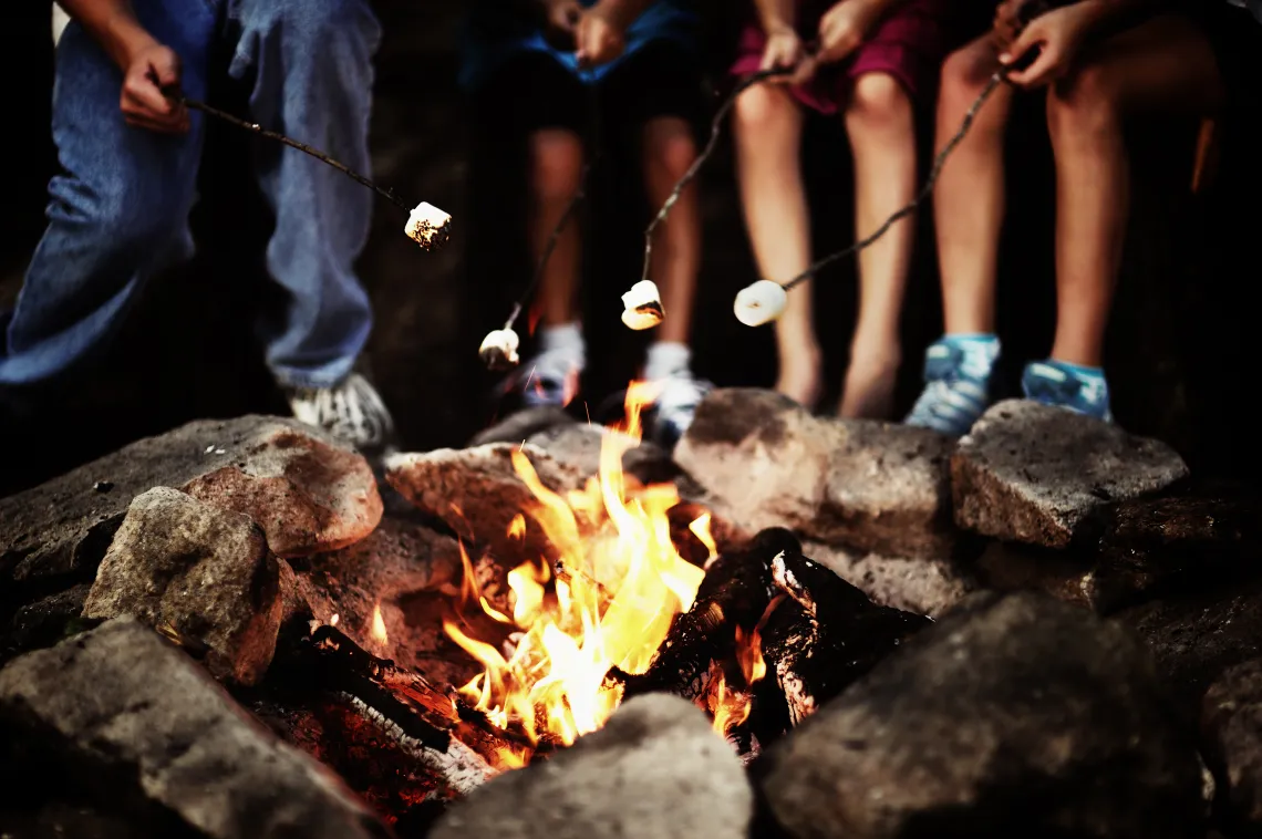 People roasting marshmallows around a fire